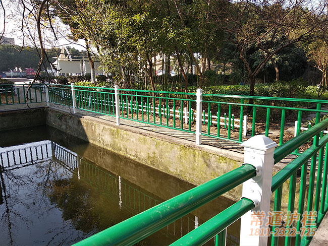常州河道护栏案例现场